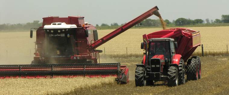 Revista PRODUCCION: Estimaciones agr&iacute;colas