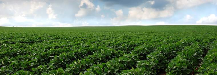 Revista PRODUCCION: 2011, un a&ntilde;o donde el hombre de campo deber&aacute; ser m&aacute;s prudente