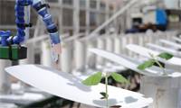 Revista PRODUCCION: Un robot ayuda a la soja contra la sequ&iacute;a