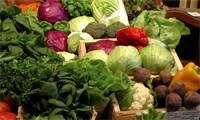 Revista PRODUCCION: El desaf&iacute;o de producir los propios alimentos