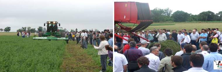 Revista PRODUCCION: 2da. Jornada Nacional de Forrajes Conservados