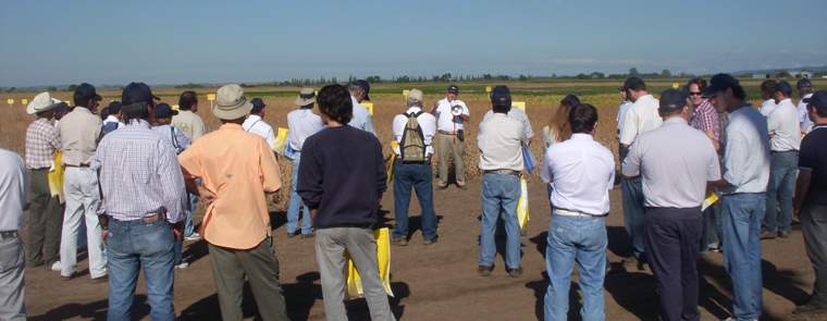Revista PRODUCCION: Jornada de campo Nidera Semillas