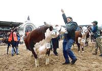 Revista PRODUCCION: Expo Rural 2011: Con grandes atractivos