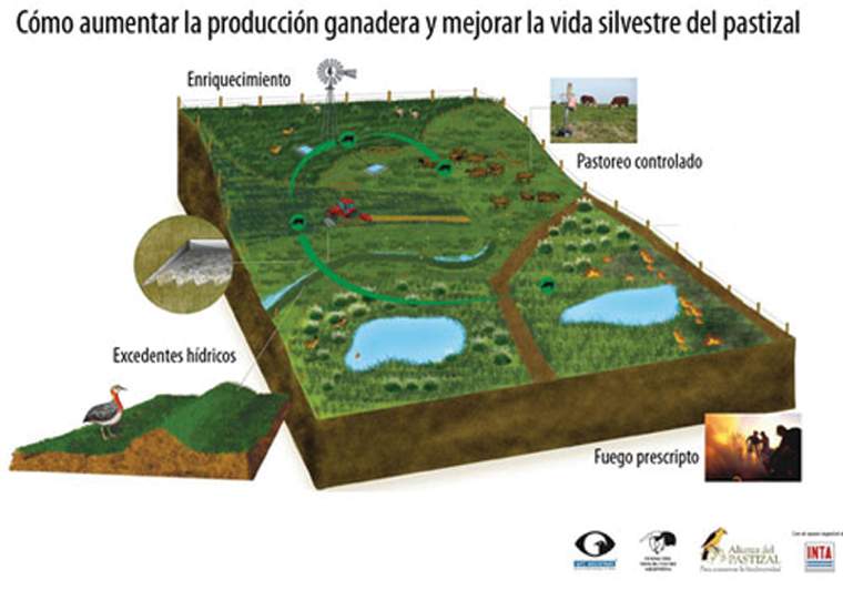 Revista PRODUCCION: Ganadería Pastizales