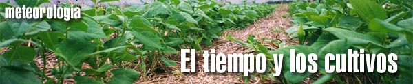 El Tiempo y los Cultivos